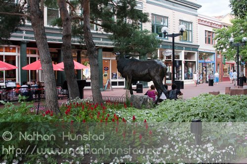 A moose sculpture on the Pearl Street Mall in Boulder, CO